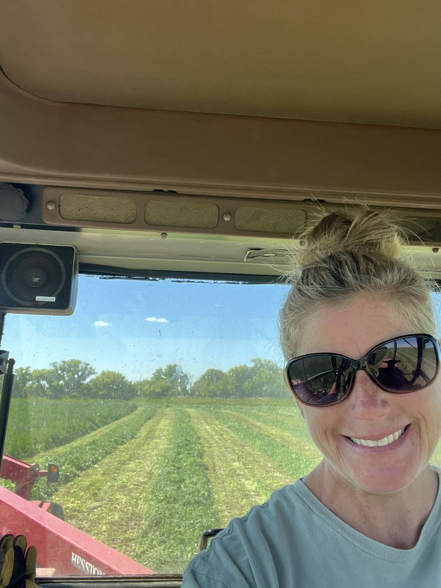 It’s a nice day to take down some second cut. Made possible thanks to the rains that finally came in July and August.