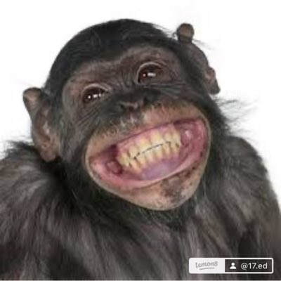 #新しいプロフィール画像