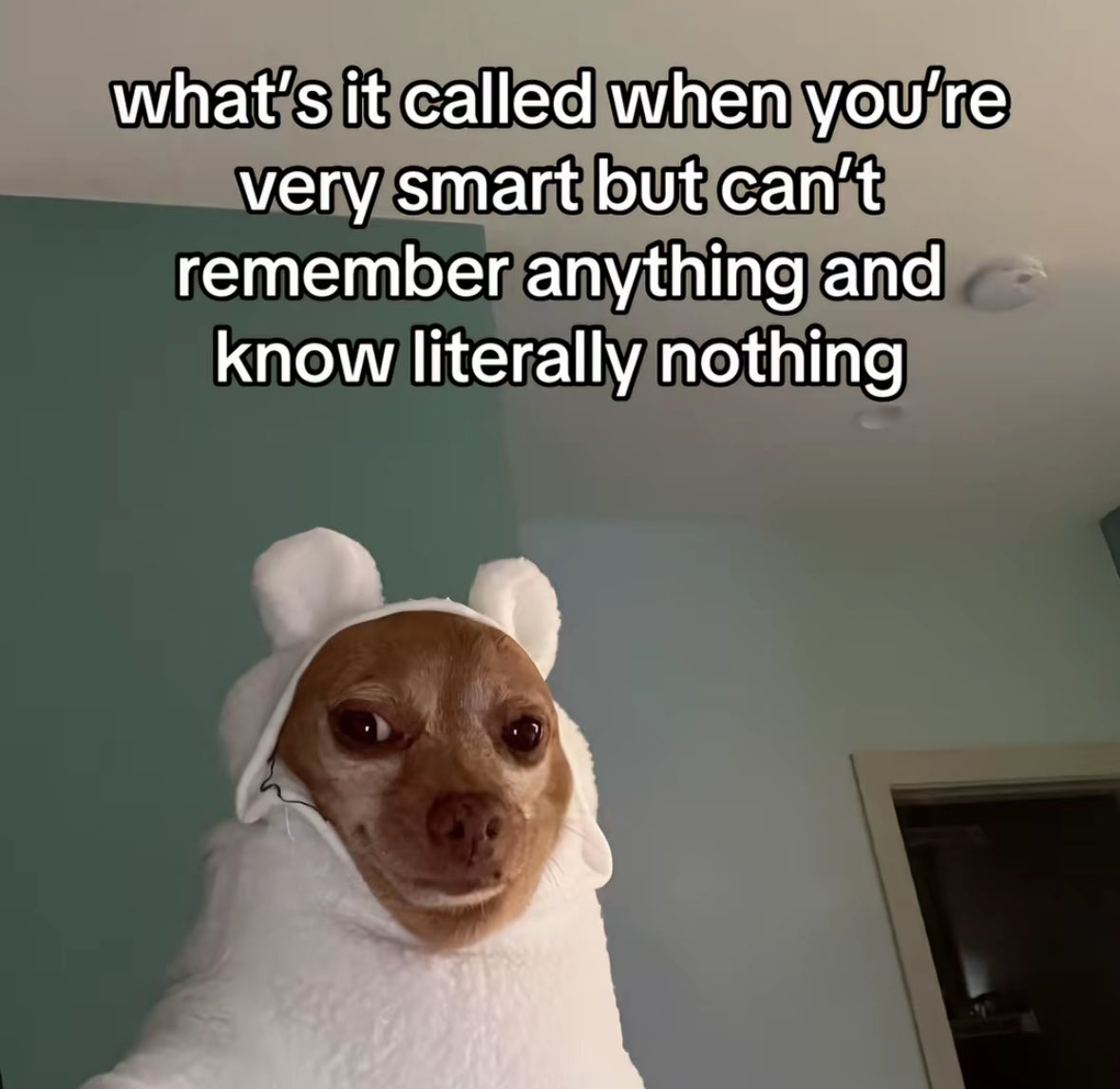 Respectful Memes (@respectfulmemes) on Twitter photo 