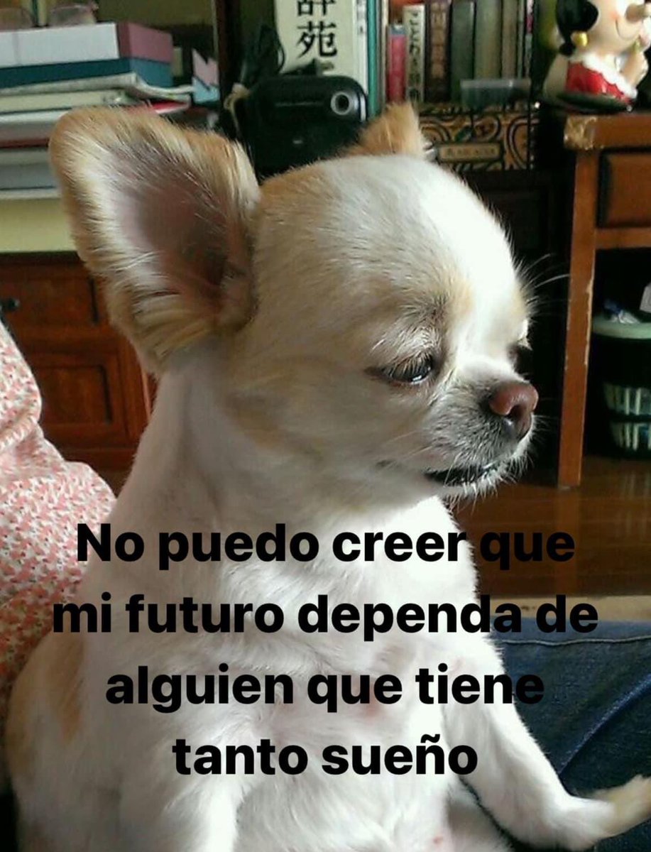 barbie_context's tweet photo. https://t.co/y3Fy7A5Yz1