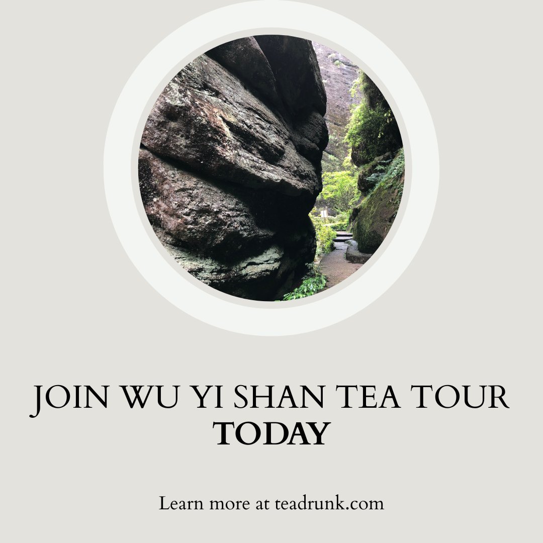 Tea Drunk tweet media