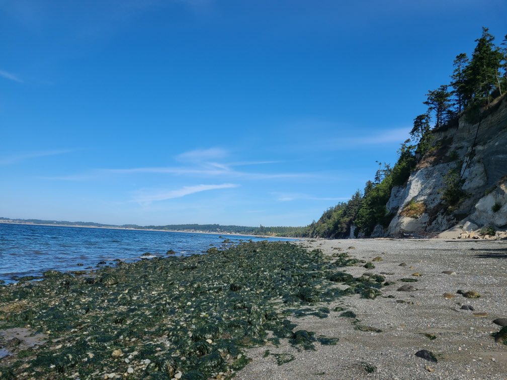 Neil Cavanah tweet media