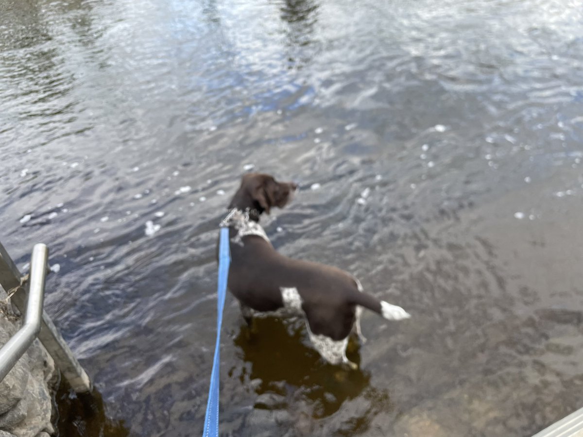 Another wander to the river? Sure why not Brooks