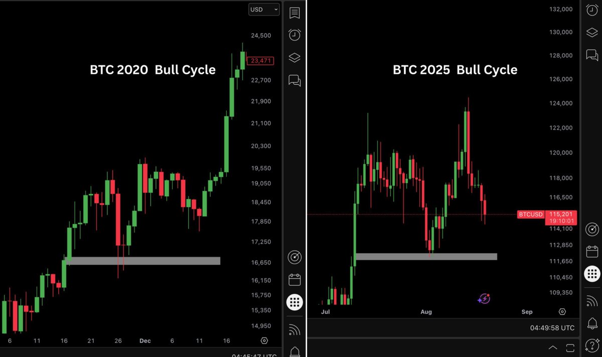 ビットコインは2020年の強気サイクルからこのパターンを2025年も繰り返す

いちいち下落相場が来るたびにパニックになるのはやめませんか？静観して対処すればいずれ価格が上がる事が確定してます。

ガチホするか買い増ししておとなしく寝てれば、数か月数年後に資産が増える単純な勝ち確ゲーム