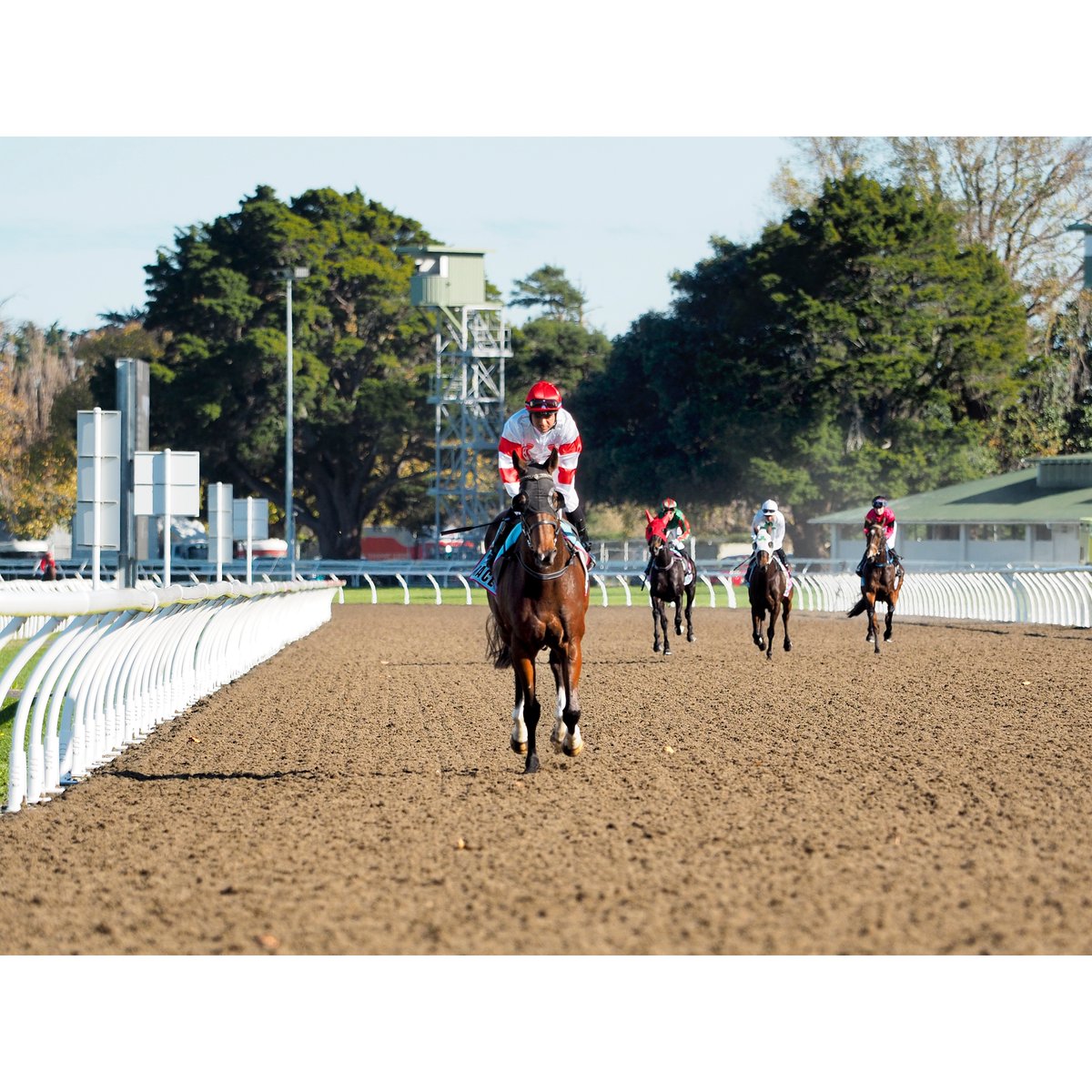 🐎 We’ve got 8 of the best lined up on the RACE Awapuni Synthetic today!

🕓 First race jumps at 12:24pm
🍔 Affordable food &amp; drinks
👦 Free kids entertainment
🎟 FREE entry 🙌
📕 Grab your free racebook 👉 shorturl.at/tZl3Q