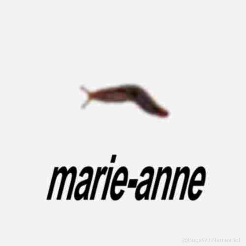 BugsWthNamesBot's tweet image. 🐌 Marie-Anne