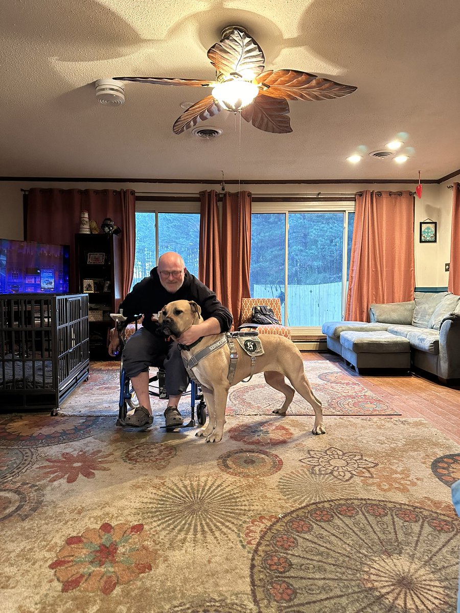 Joshua44671294's tweet image. What do you think about this working dog? #servicedog #DisabledVeteran #workingdogsforvets