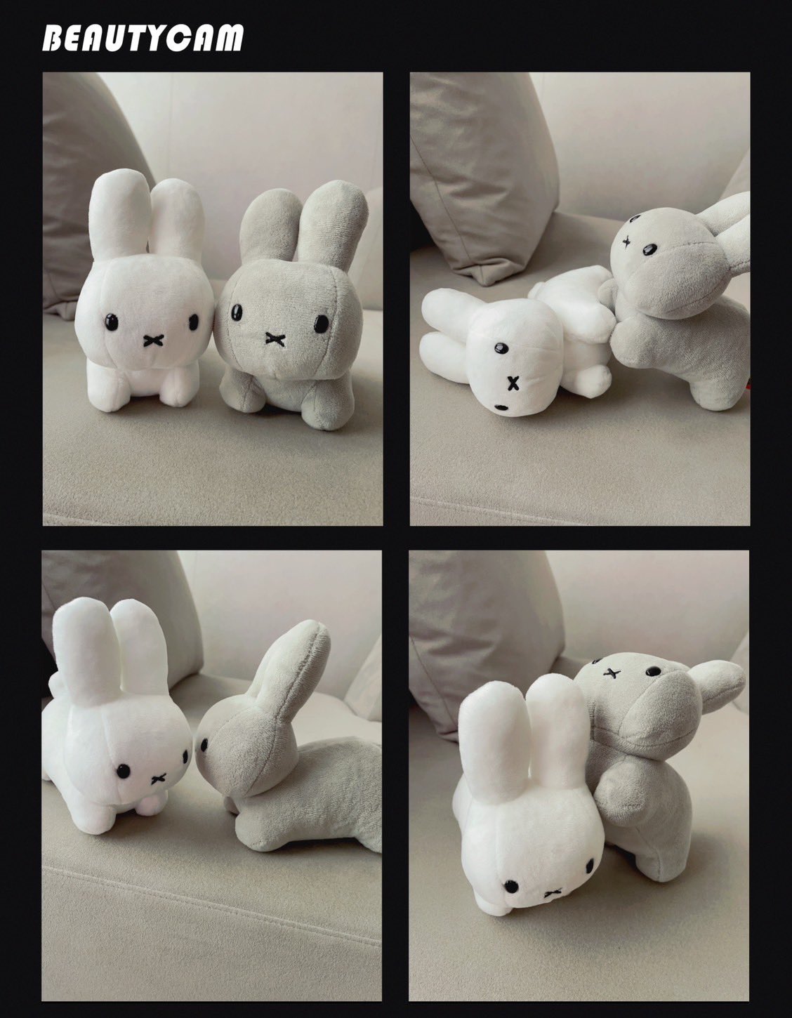 うさぎXうさぎ うさんぽ on X: 