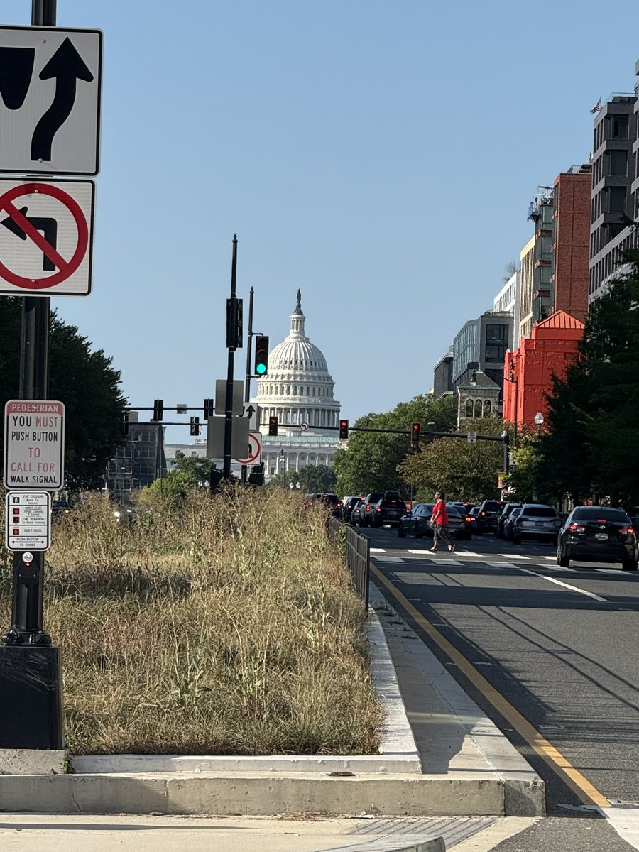 Zach Lowy tweet media