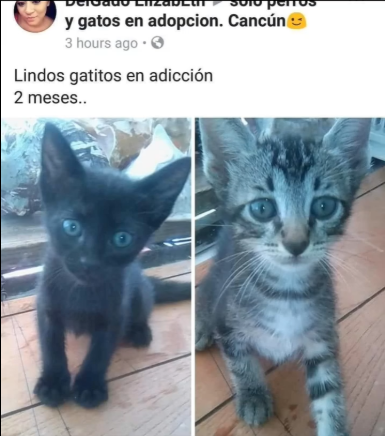 Juani 🇦🇷 tweet media