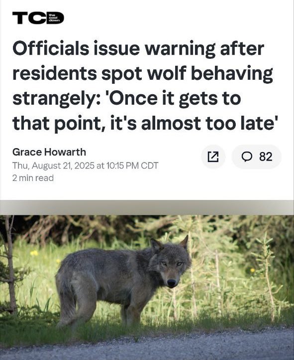 Just like people having brain disorder issues. 
The animals are as well. 

Once they roll out 6G.
It's gonna be like Hell on earth. 🔥 

When wild animals get close to humans instead of keeping to themselves, the primary concern is that someone could get harmed. "You get an