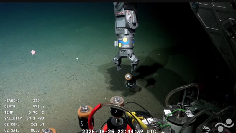Vivo :  Expedición al fondo del Rio de la Plata -  nautica.news/es/vivo-expedi…