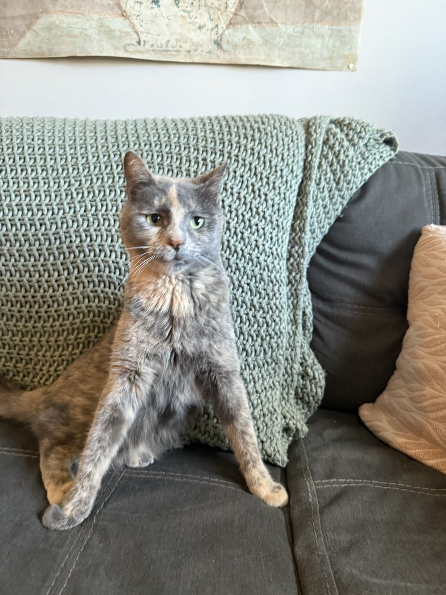 a triangle is the strongest shape