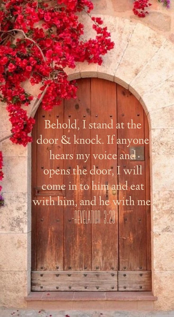 ShortSeasonBeliever (@shanstovall8) on Twitter photo 