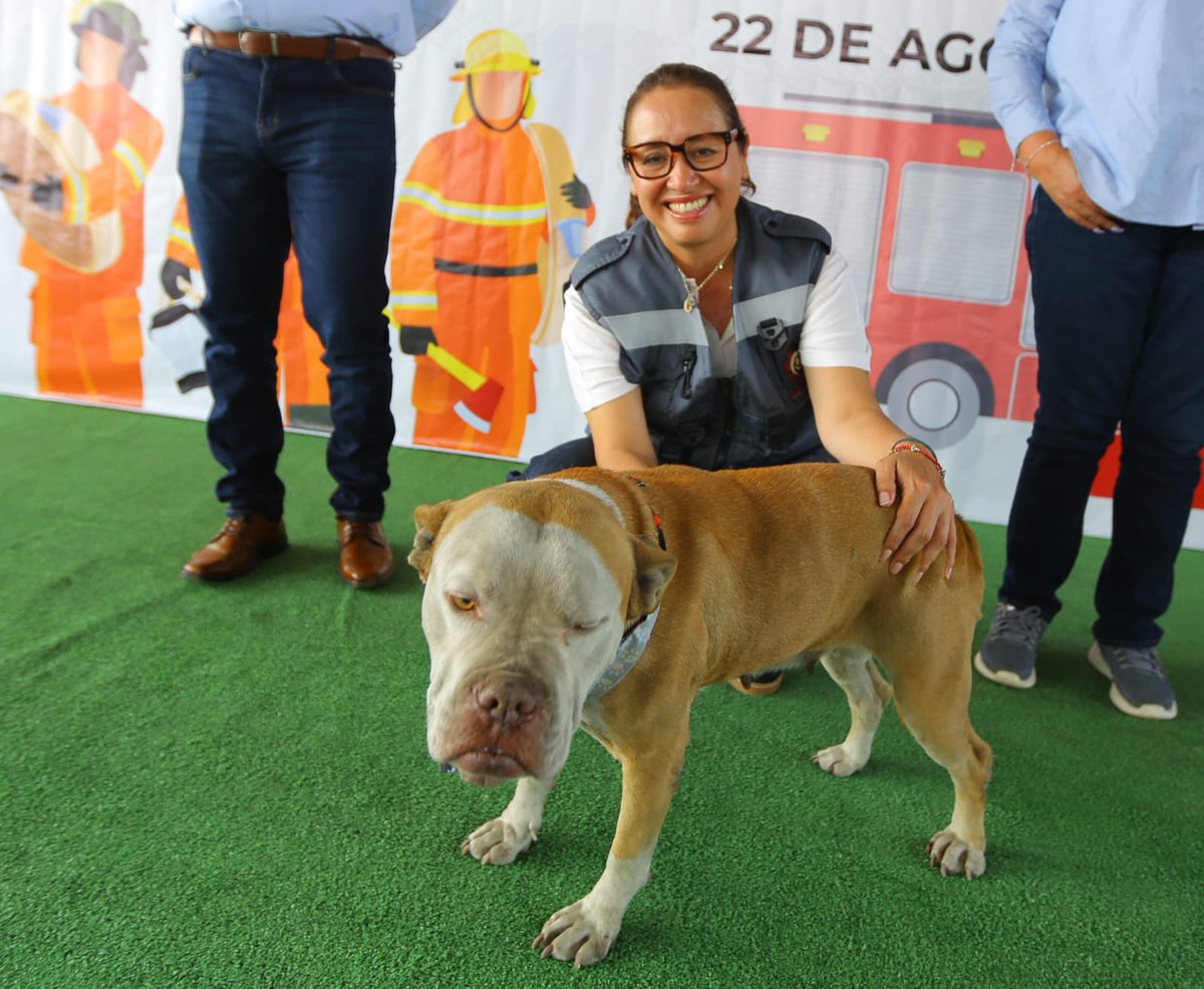 👩‍🚒 En conmemoración por el Día del Bombero, compartimos con las y los bomberos de #Ecatepec. Entregamos estímulos y reconocimientos al personal que todos los días arriesgan su vida para proteger a la comunidad. Agradecemos por cada labor de prevención, salvamento, atención de