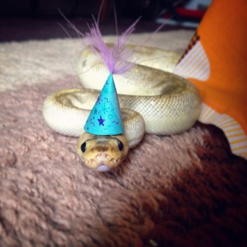 Birthday!