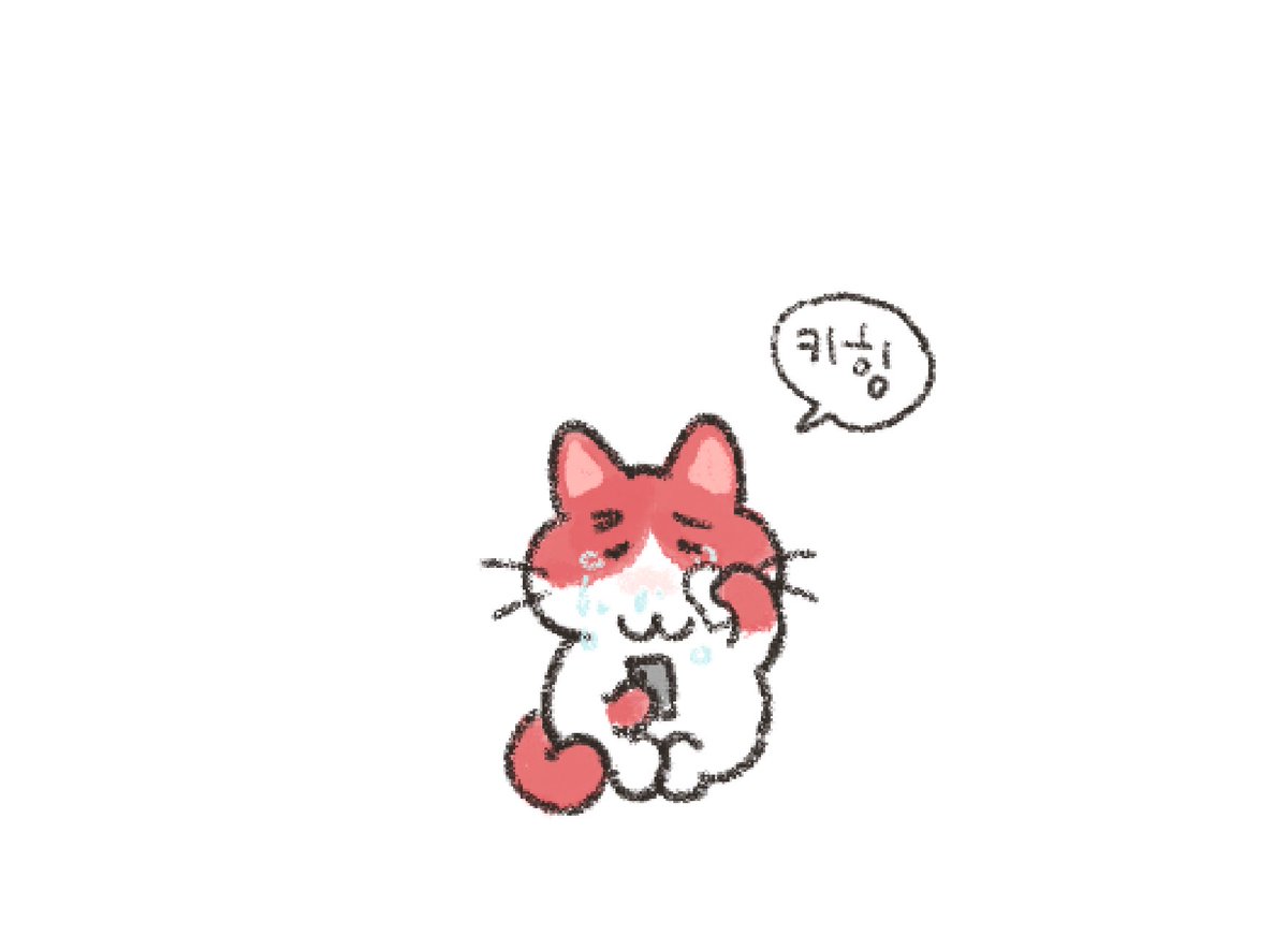 또 울려주고 싶은 고양이!🥇

#키 #기범 #hunter