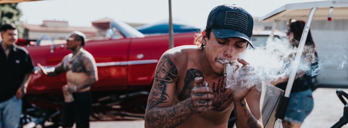 Armando Ferreira tweet media