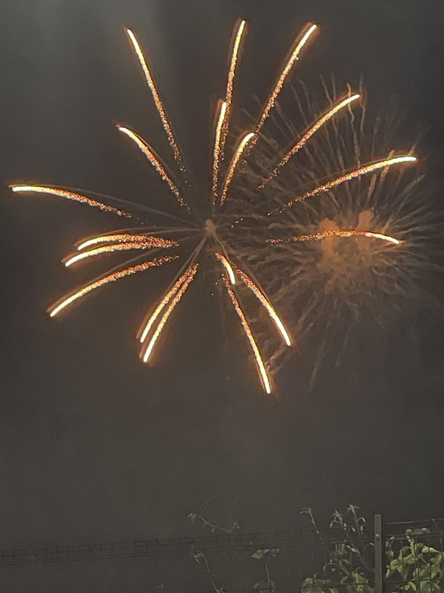 昨日出勤かと思って出社したら、誰もいんくて、しばらく点呼の人とおしゃべりしてたら、帰ってきたドライバーさんがわざわざ配車係に電話してくれて、休みでした！とさ(. ̯. )
報連相よ(. ̯. )
新人に対して凄い扱いやな( ´A` )
ってことで昨夜は近所の花火行ってきました🎇