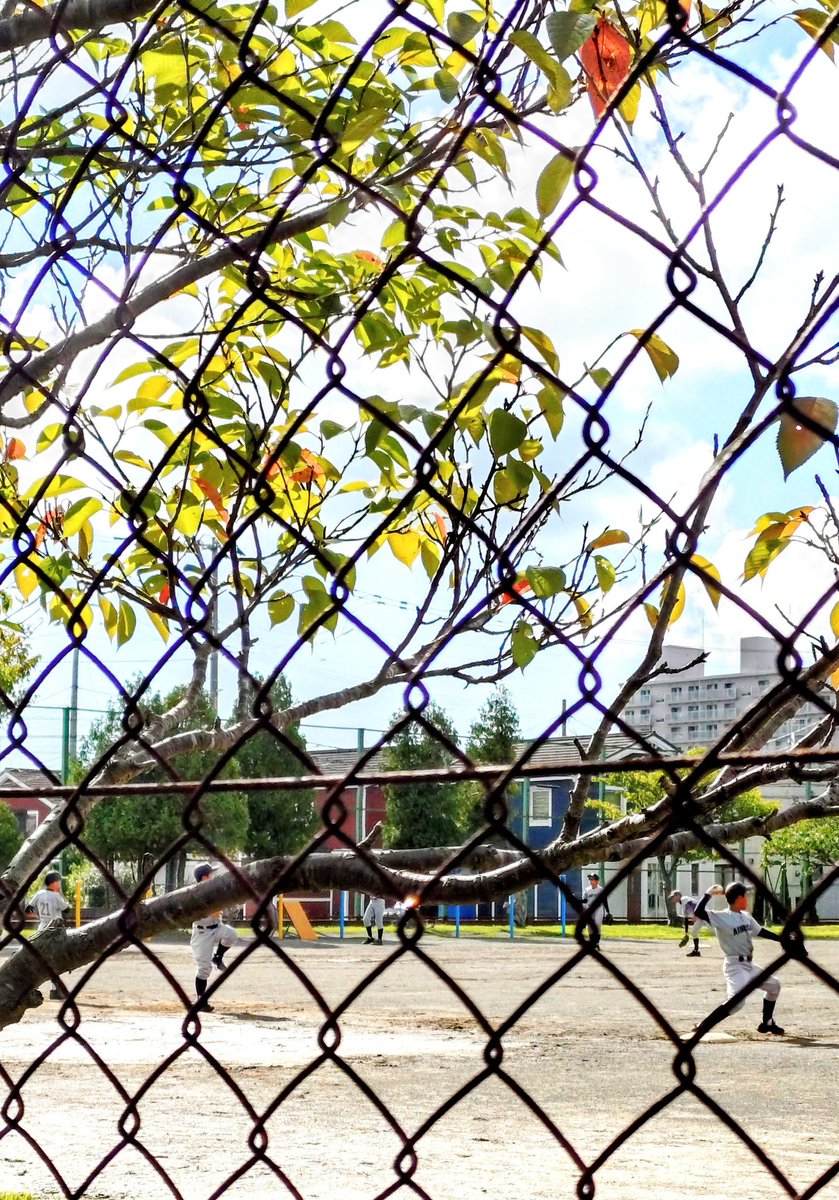 少年野球⚾
女の子も2人いました⚾
葉っぱが秋っぽい🍂
たけうちーむ