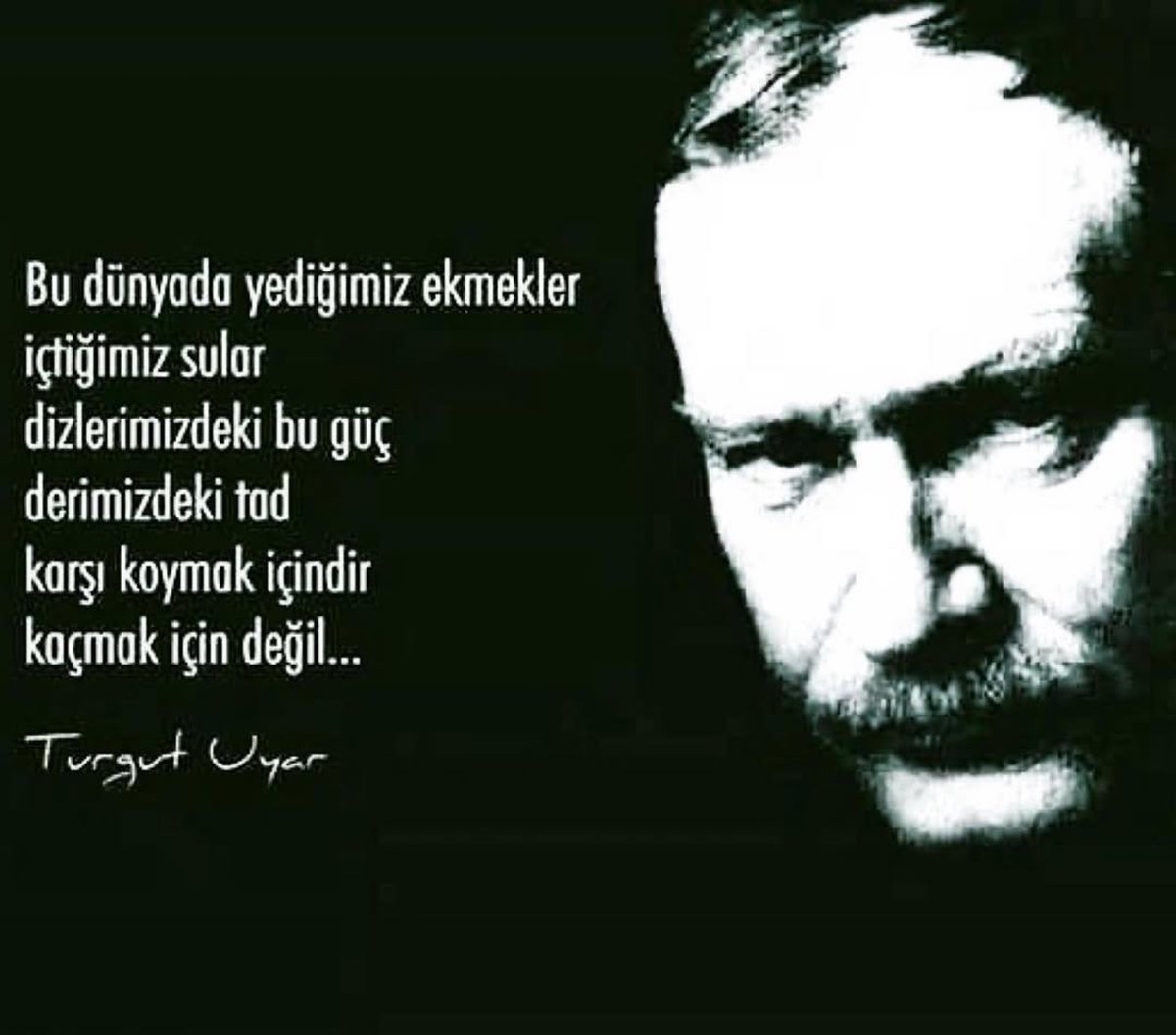Bu dünyada yediğimiz ekmekler
içtiğimiz sular
dizlerimizdeki bu güç
derimizdeki tad
karşı koymak içindir
kaçmak için değil..!
#TurgutUyar
#AnısınaSaygıyla