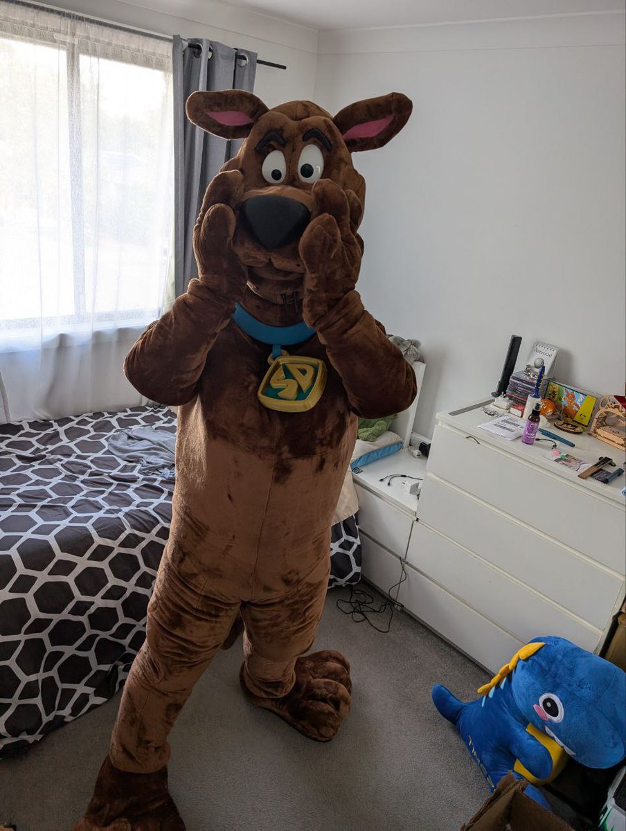 aRTi Husky 🐺 tweet media