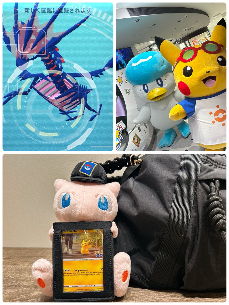 yukiko3288's tweet image. マックスフィナーレ1日目
一番欲しかったゲンガー光った！！😭🩶🩶🩶✨✨

福岡ポケセンのメンベイも
嬉しかったー！😊💕💕
ミュウのポケカケースは初お披露目⛑️

本日も頑張ります😊

#PokemonGO
#PokemonGOfriendscode