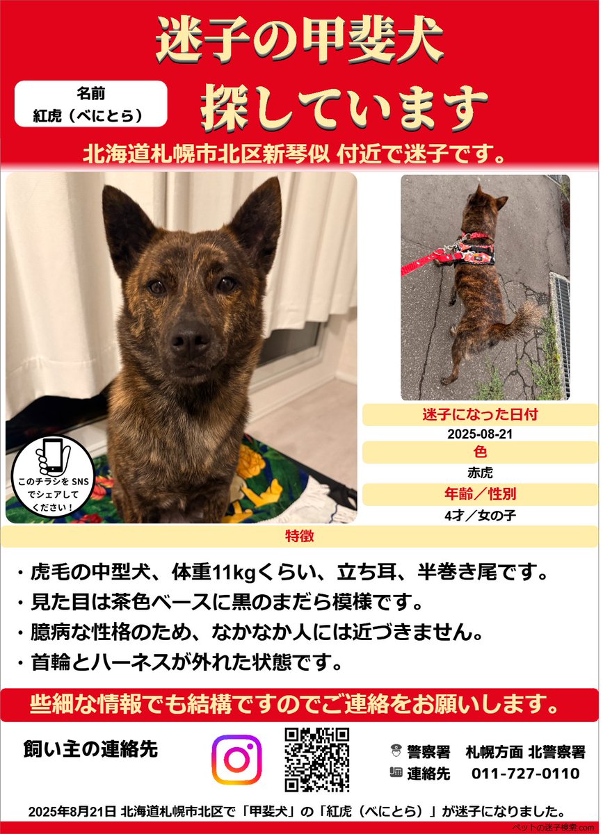 イヌ - Search / X