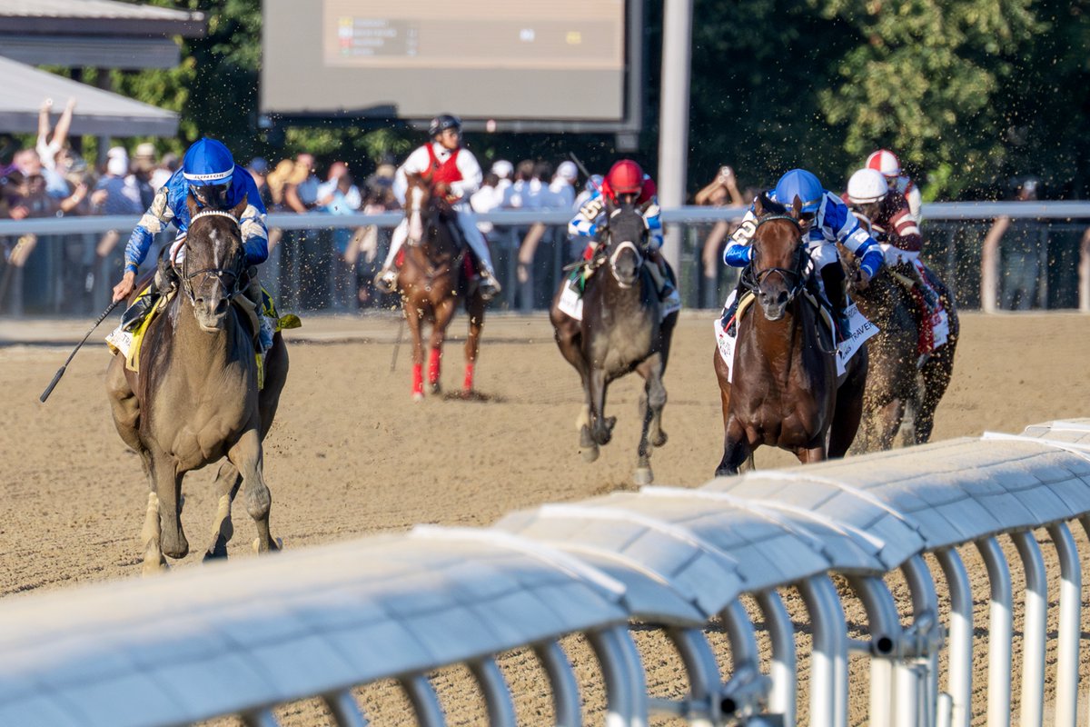 Erica Miller tweet media