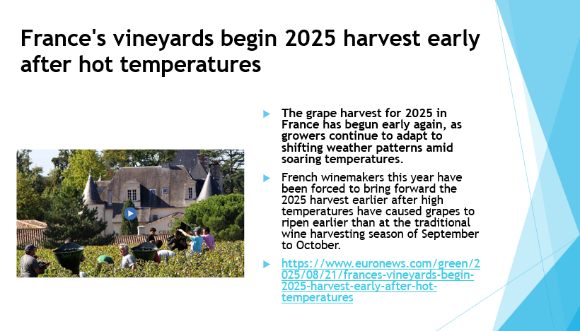 AAFLFC - French Lang & Francophone Culture US tweet media