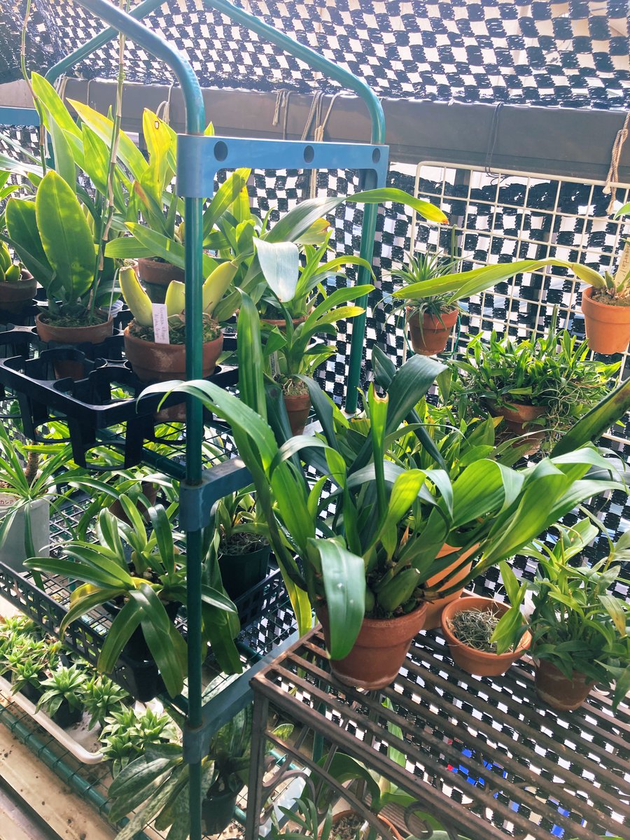 伊丹 琢家@PROPEL tweet media