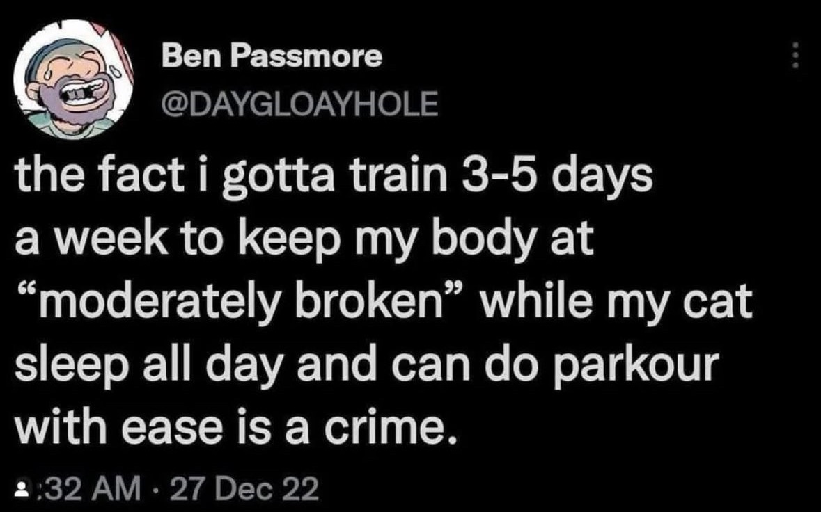 RespectfulMemes's tweet image. 