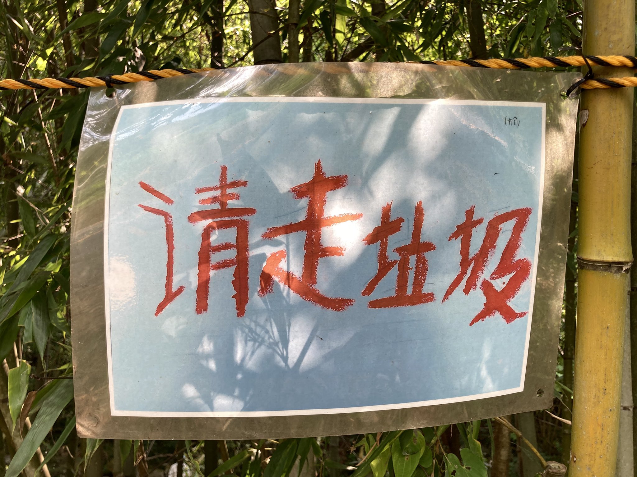 猛虎歸山 garageYAMAGO - garageYAMAGO added a new photo.