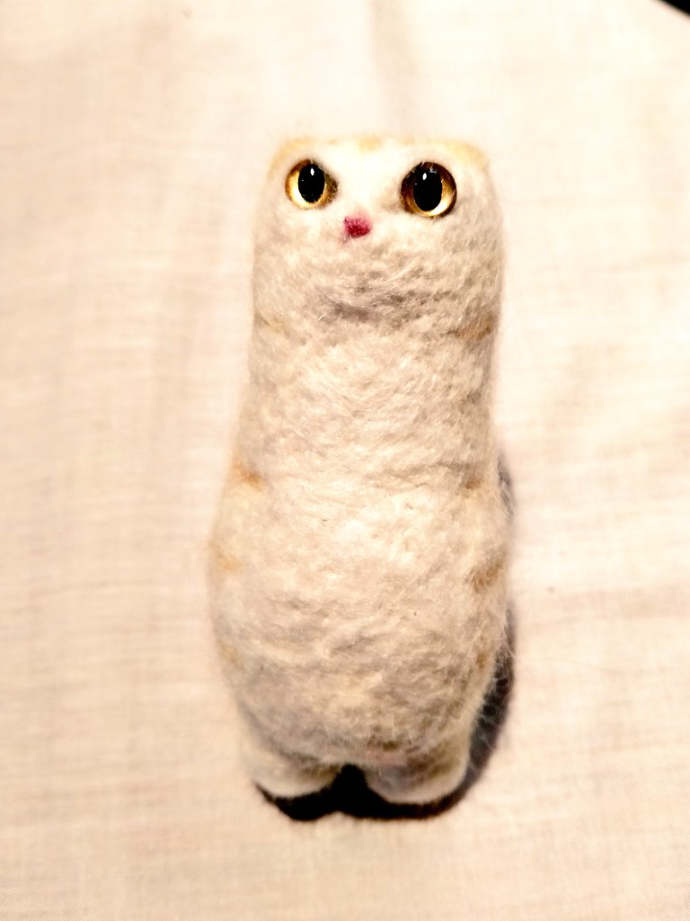 新入りのこ。
たくさんかわいいといってあげてください。　#猫 #羊毛フェルト