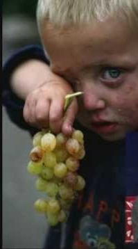 CecilCem's tweet photo. günaydın💜☕️
#grapes
#grapesandchildren
#vineyard
#GoodMorning
#vinery
#winery
#cellar https://t.co/fRXi5lJWyy