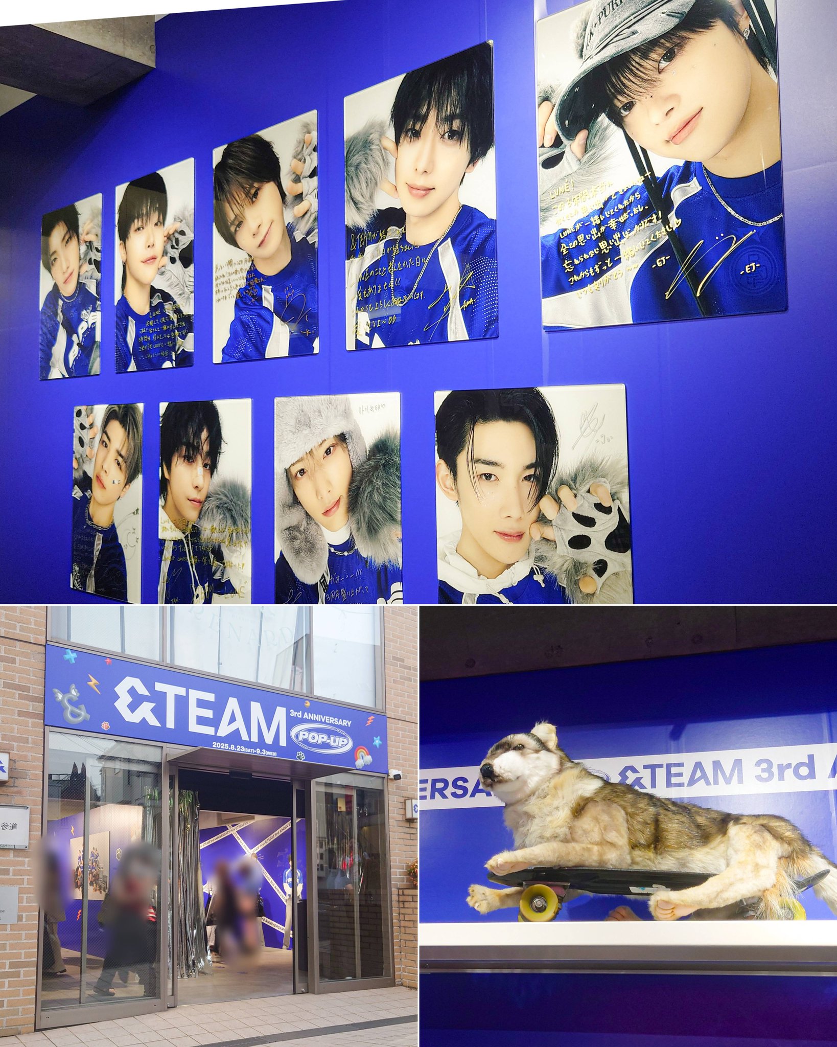 𝐲𝐮𝐤𝐚🍀*・ on X: 
