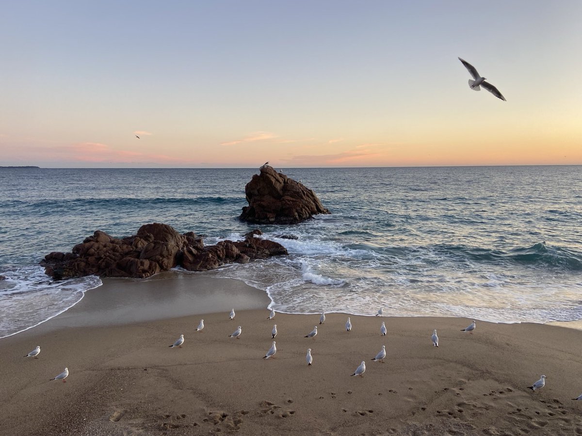 myriamroques (@myroques) on Twitter photo 