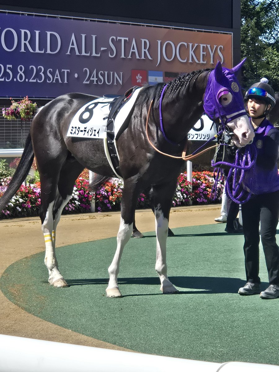 競馬パネル：ホクトベガ「1994年第30回札幌記念」 ※プレート付き