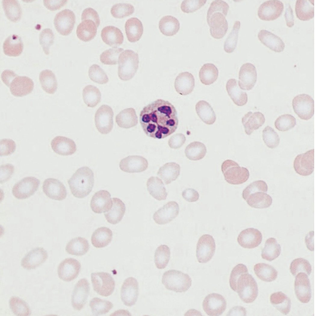 Dr. AK 🇮🇳 tweet media