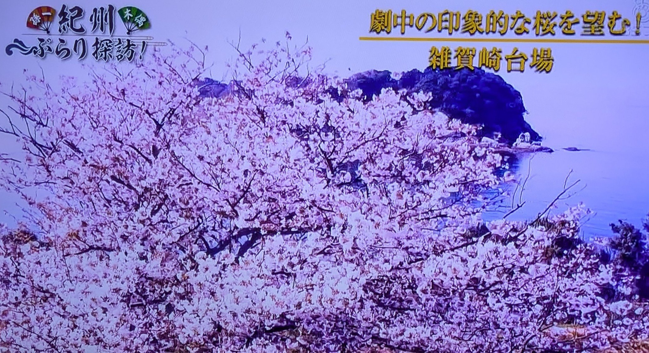 佐藤大樹 クッション 15周年アニバーサリー 佐藤大樹 クッション 15周年アニバーサリー 佐藤大樹 クッション