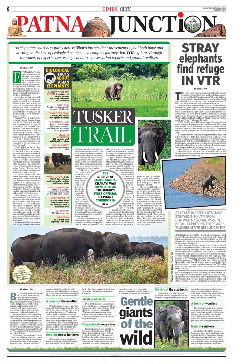 TOI Patna tweet media