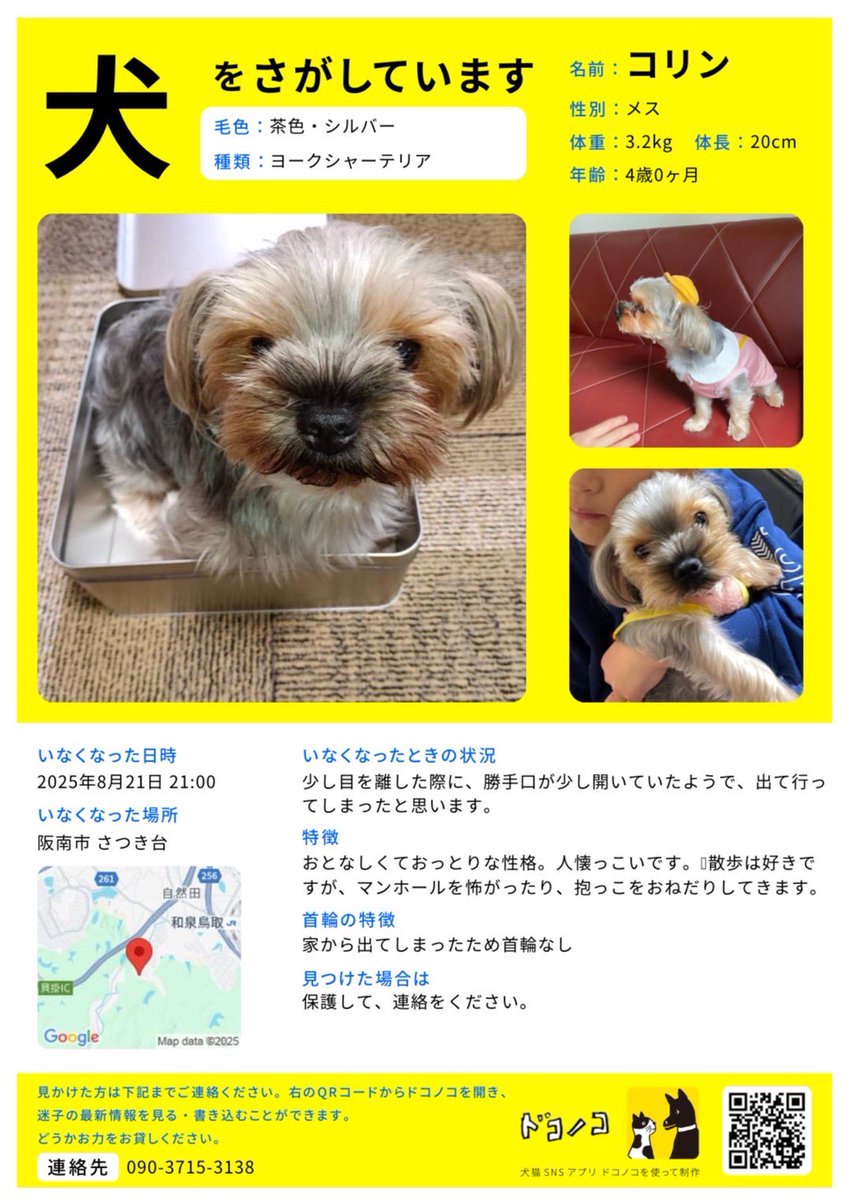 oto__1216's tweet photo. 知り合いのわんちゃんが行方不明になってしまいました🐶💦
見つけた方や見かけた方、DMか電話していただけると助かります🙇‍♀️

 #迷子犬情報 
 #迷子犬 
 #犬 
 #拡散希望︎ 
 #拡散希望RTご協力お願い致します 
 #拡散希望RTお願いします https://t.co/KAUtVOaYkr