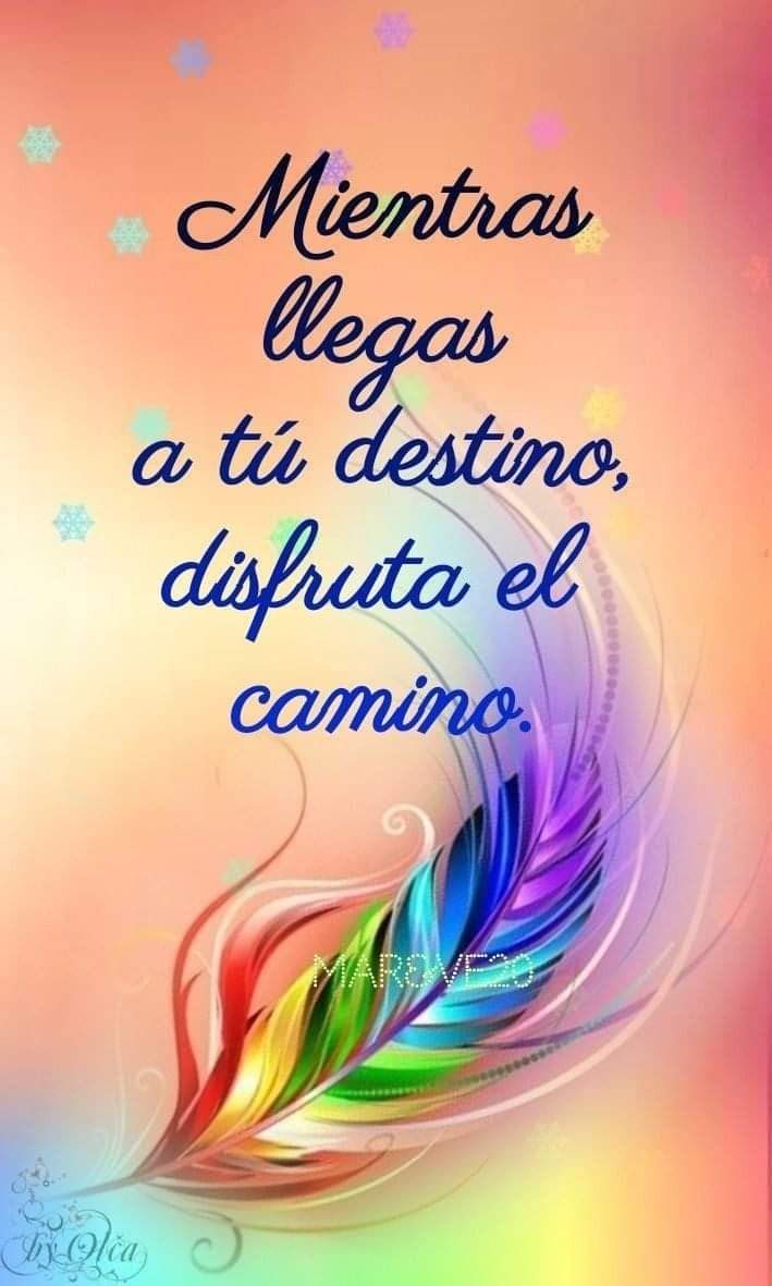 Manu🦈47 (@manu_cat47) on Twitter photo 