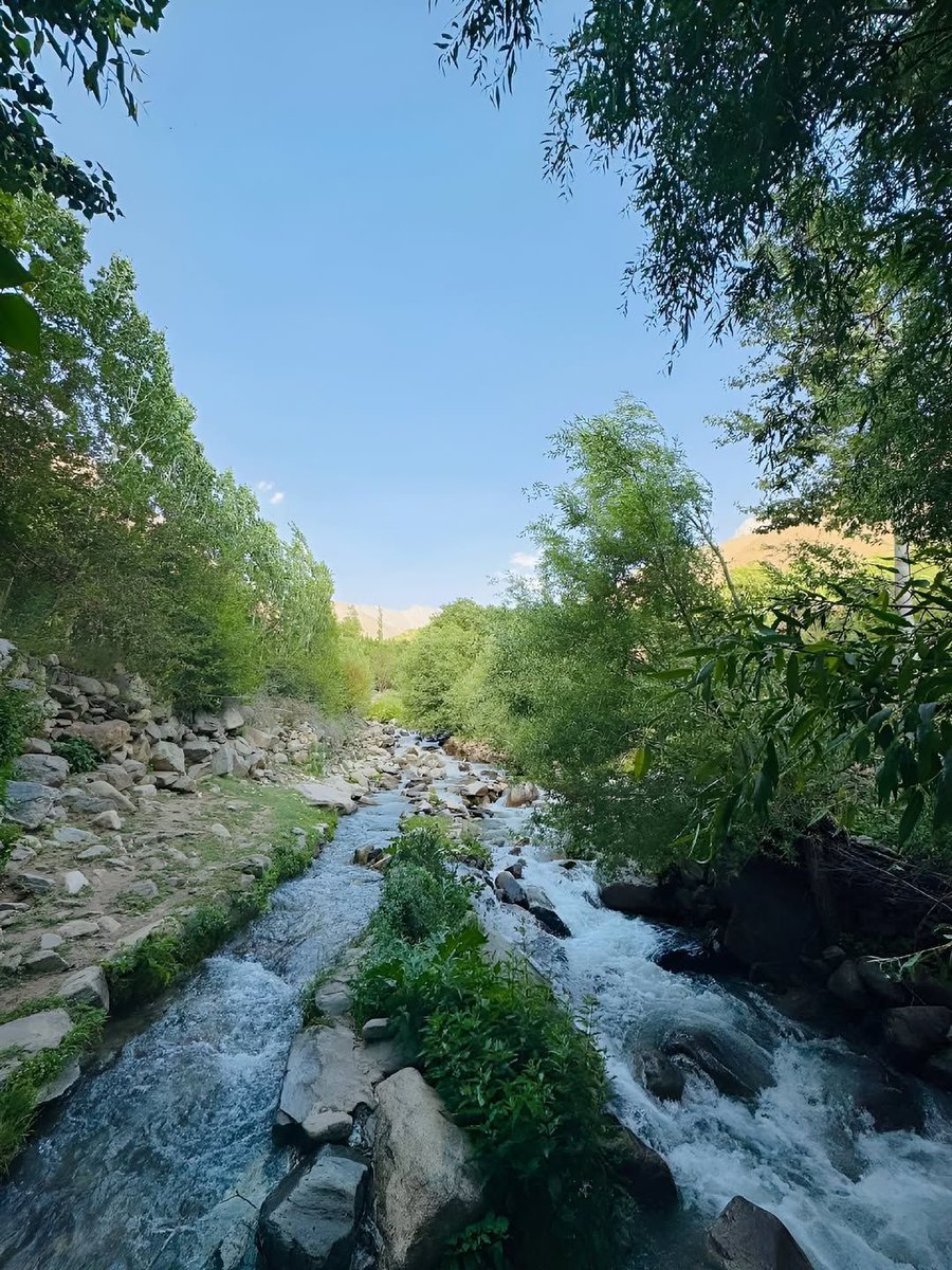 #Goedemorgen 🌄 #Twitter 🐦/ ##X ✖️ vrienden 💚

#LazySunday 😴. Vandaag rustig aan met een lekker kop #koffie ☕ en wat #AfghaniPorn 🔥 uit #Afghanistan 🇦🇫. Voor iedereen die vandaag ook vandaag rustig aan doet: geniet ervan 👊🏻

#DontForgetAfghanistan 🙏🏻
#Veteraan 🎖️ | #Defensie