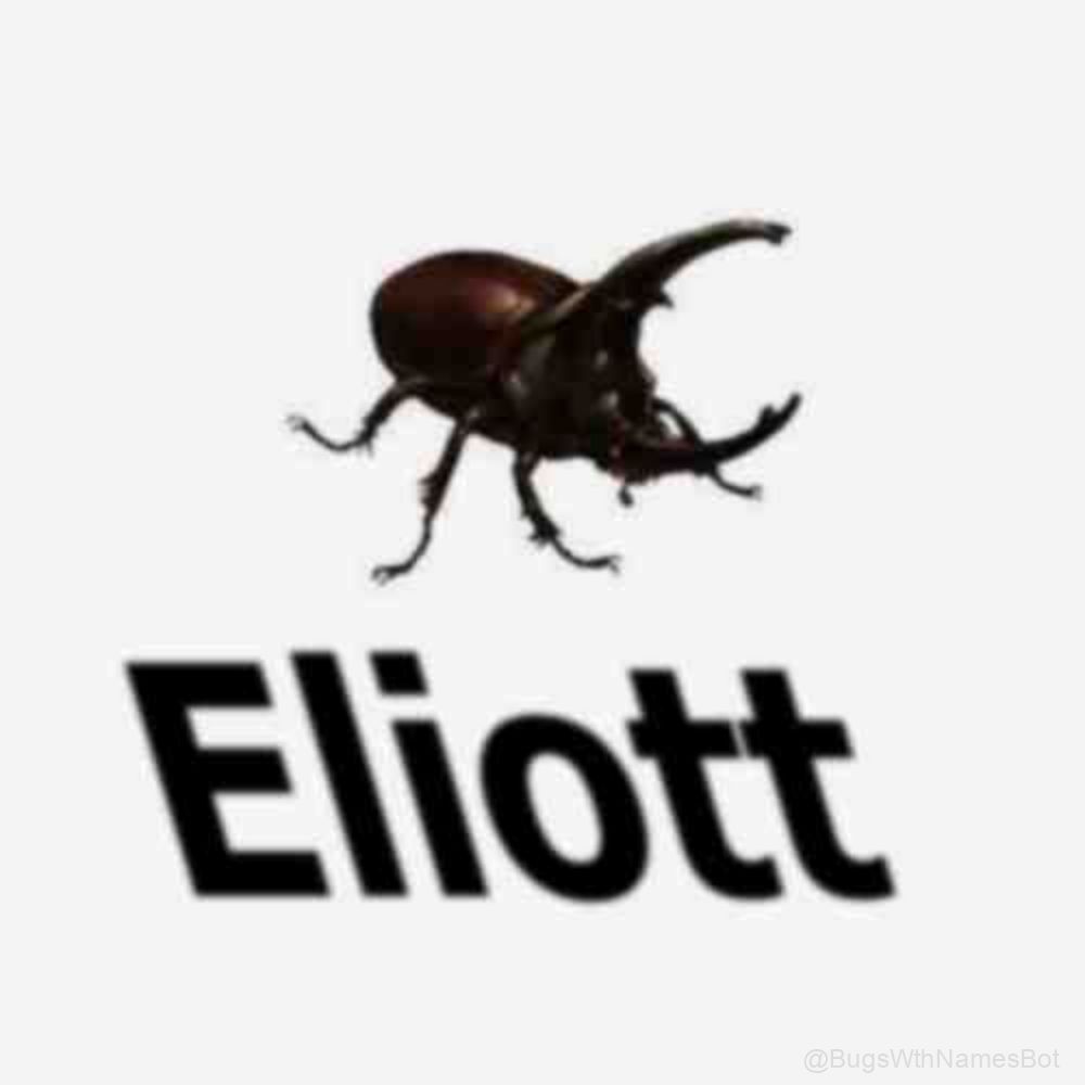 BugsWthNamesBot's tweet image. 🪲 Eliott