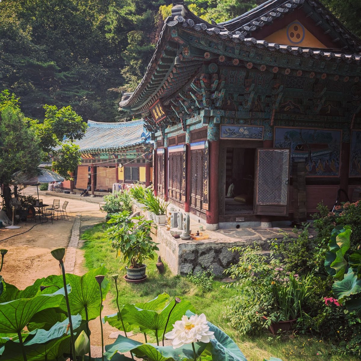 행복 = happiness

In the past the days were so long and I couldn't wait for each one to end

These days, there are not enough hours in the day and my heart overflows with happiness

So many beautiful friends and family all around the world

Yesterday I went to Sejong, which is