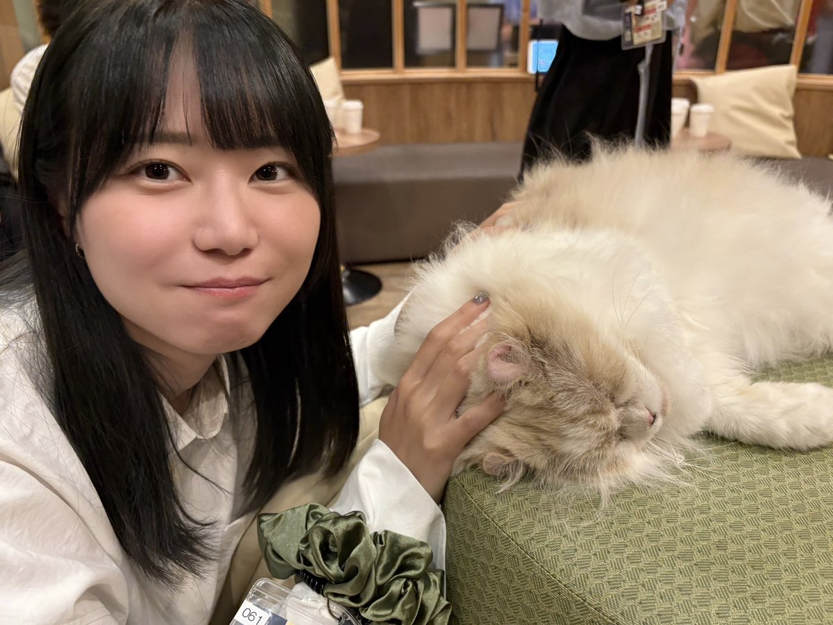 もふもふさん もふもふ♡うさぎ 8ed0a83706186577ea0e1ea78188e8