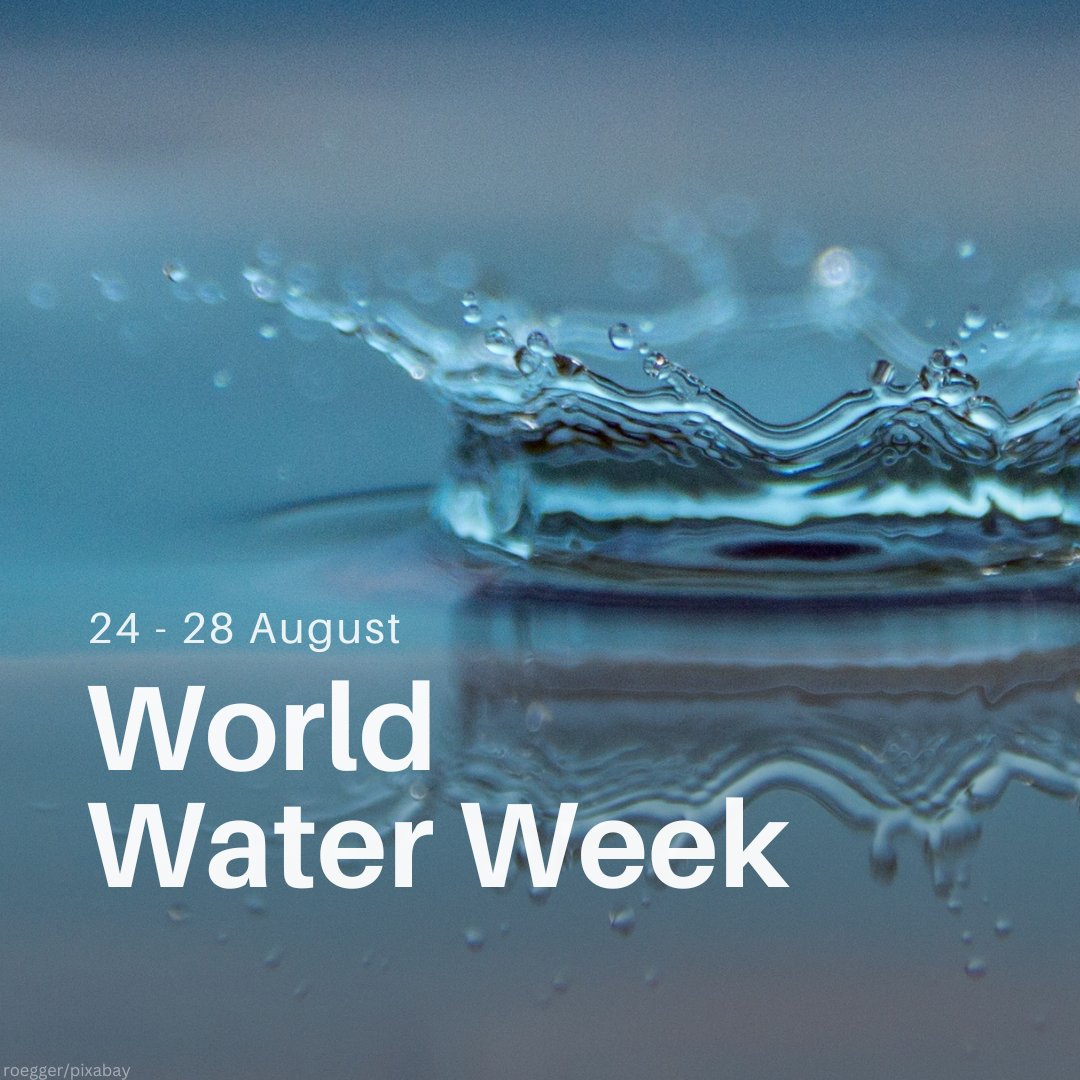 UNEP's tweet image. #WorldWaterWeek 2025 kicks off today, shining a spotlight on water’s vital role in both climate mitigation and resilience. From glaciers to oceans, from source to sea, water connects it all.
Learn how UNEP works to protect and restore freshwater ecosystems:…