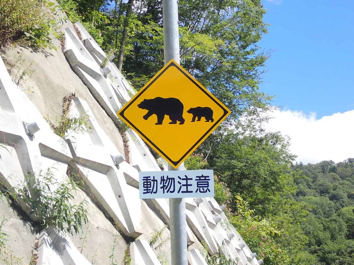 けいきものページ Large-legged beetle and tiger beetle