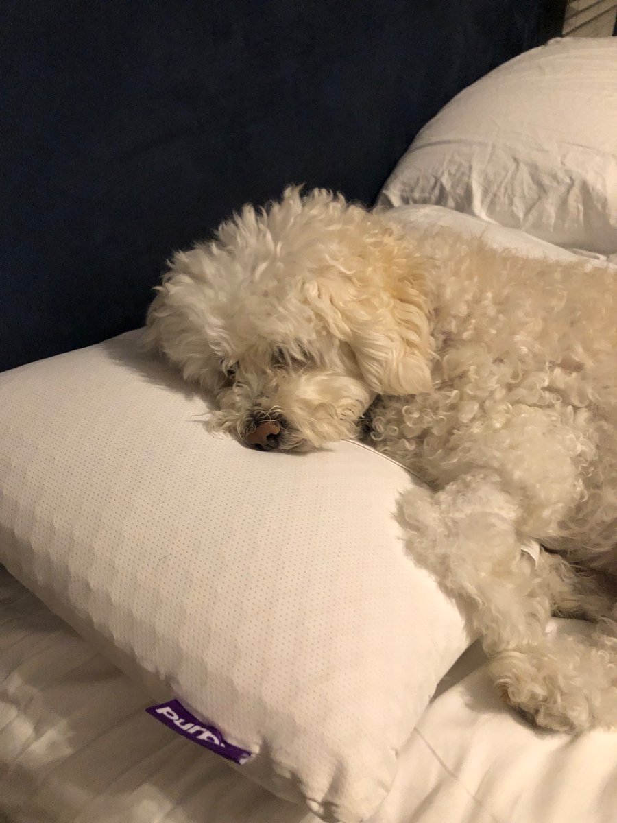 Colt Smith tweet media